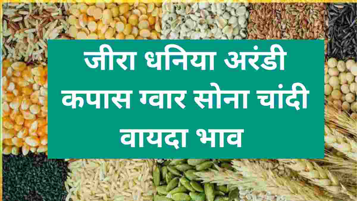 Price Outlook for NCDEX Traded Agricultural Commodities till December End |  NCDEX Live