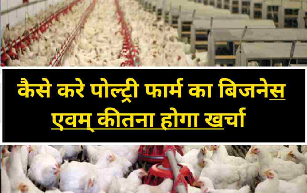 Poultry Farming जानें कैसे करें पोल्ट्री फार्म का बिजनेस कितनी आती है लागत एवम् इसके कीतना लाभ 